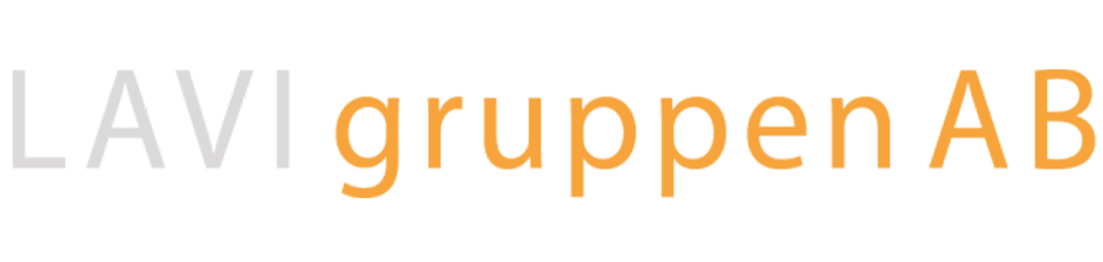 LAVI gruppen